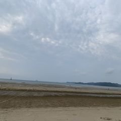 프로필