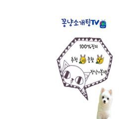 프로필