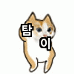프로필