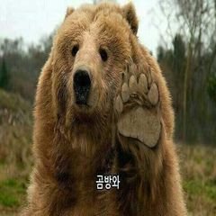 프로필