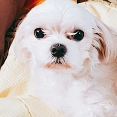 프로필