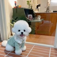 프로필