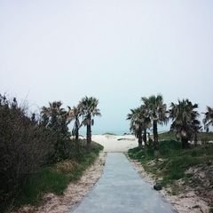 프로필