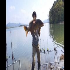 프로필