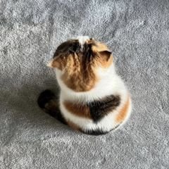 프로필