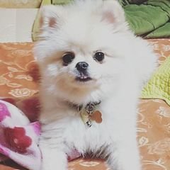프로필