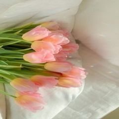 프로필