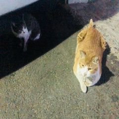프로필