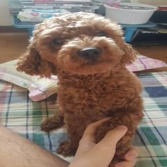 프로필