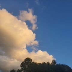 프로필