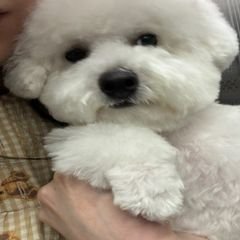 프로필