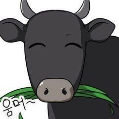 프로필