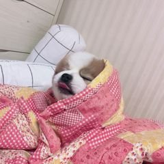 프로필