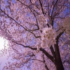 프로필