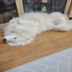 프로필