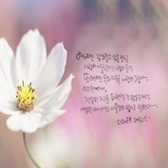 프로필
