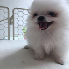 프로필