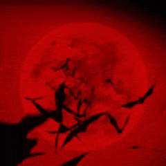 프로필
