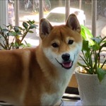 프로필