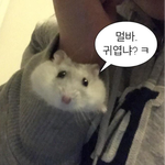 프로필