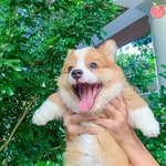 프로필