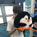 프로필