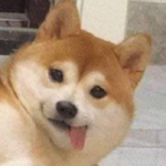 프로필