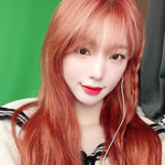 프로필