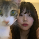 프로필