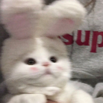 프로필