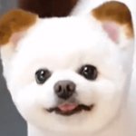 프로필
