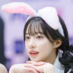 프로필