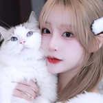 프로필