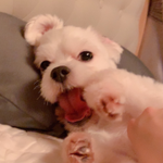 프로필