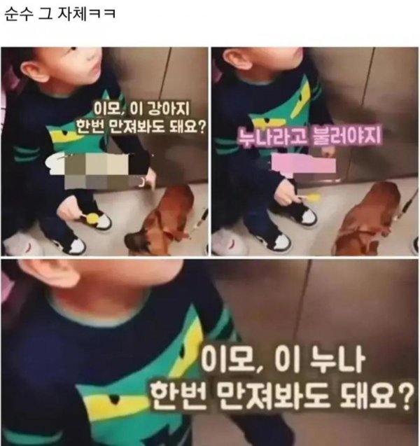 순수한 아기