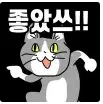 humor_20250726_070b5c9a.webp