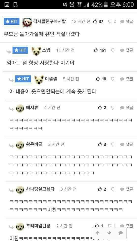 humor_20250727_e4c466fd.jpg