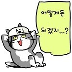 humor_20260425_03921dee.jpg