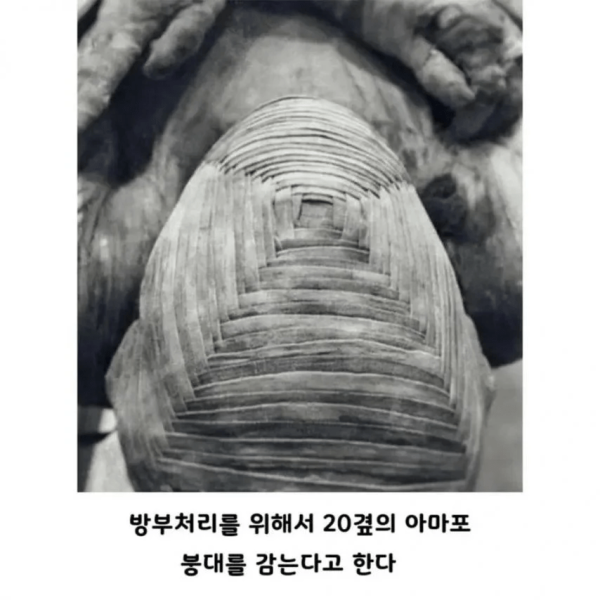 image.png 사람들이 잘 모르는 실제 이집트 미라.JPG