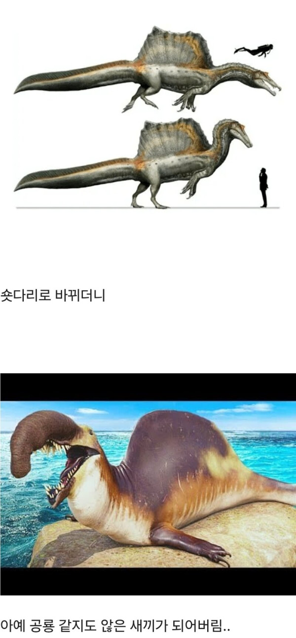 humor_20250720_8b8bfc00.jpg