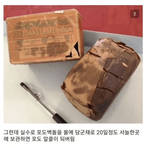 humor_20250722_b234a35d.png