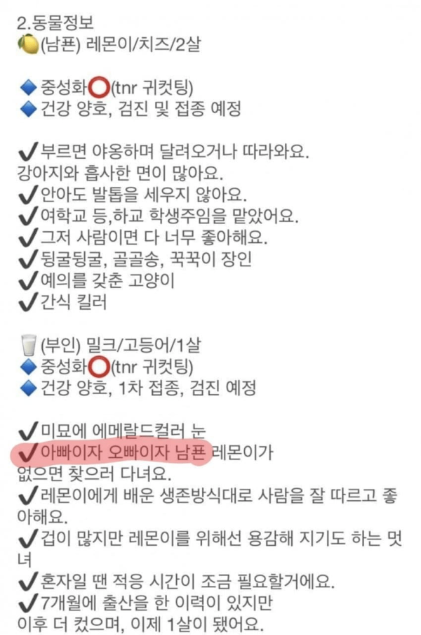 0.png 가화만사성 고양이 ver.jpg