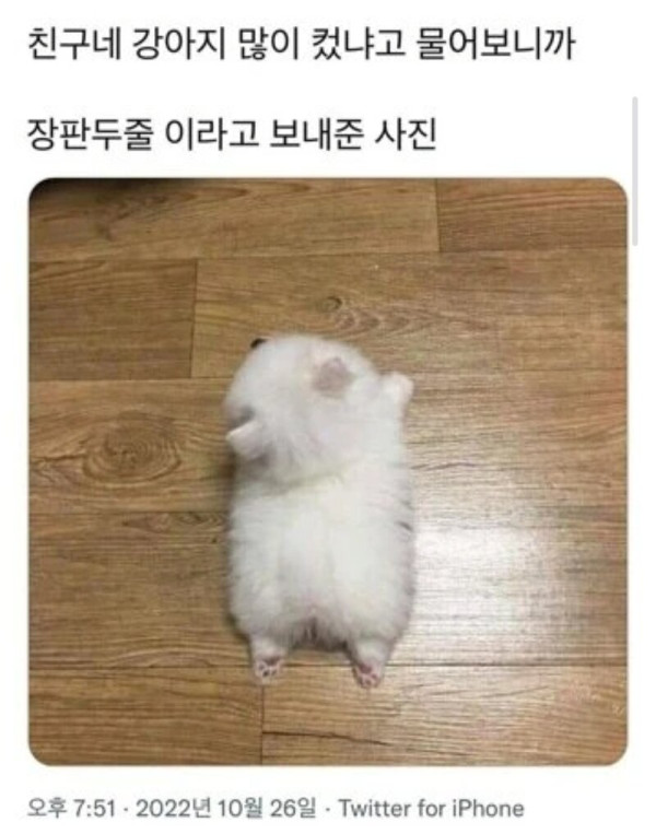 humor_20250724_a3026fc7.jpg