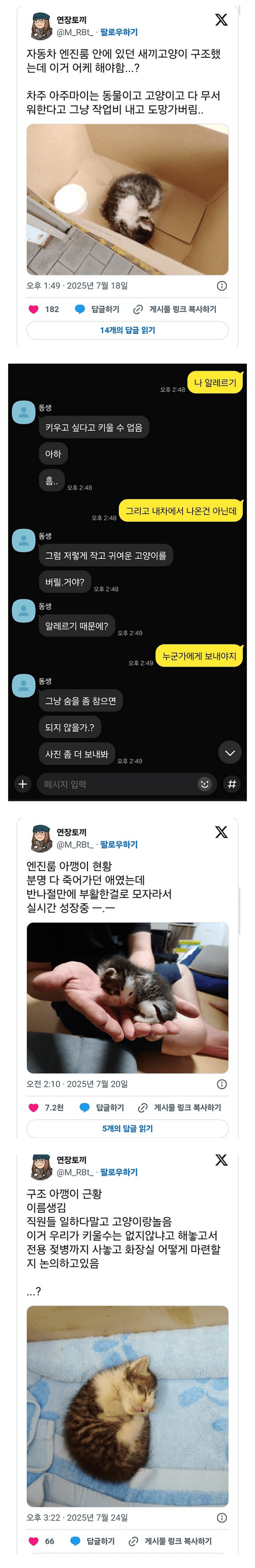 image.png 손님 차 엔진 룸에서 구한 고양이를 강제로 맡게 된 정비사