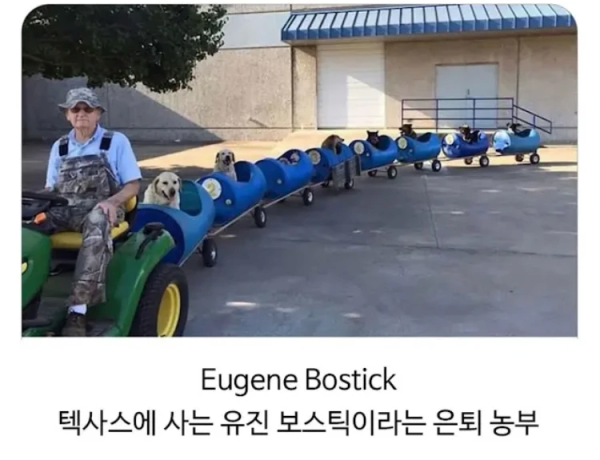 image.png 80대 할아버지와 댕댕이들의 산책 시간.jpg
