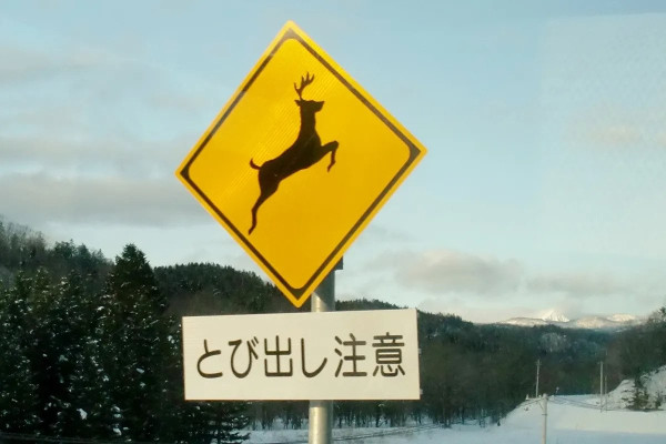 caution-image20230120.webp.ren.jpg 일본 가면 고속도로에서 조심해야 하는 것