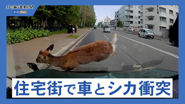 image.jpg 일본 가면 고속도로에서 조심해야 하는 것