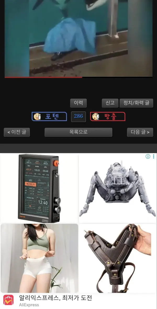 재밌는 짤 보고 있는데 민망해..