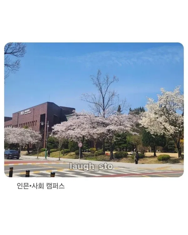 IMG_9020.webp 충북대 공대생의 기울어진 캠퍼스 폭로