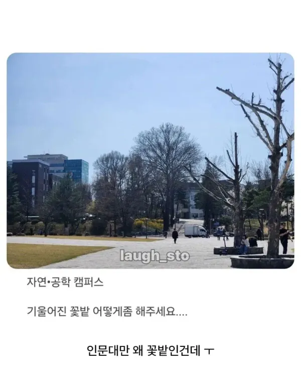 IMG_9019.webp 충북대 공대생의 기울어진 캠퍼스 폭로